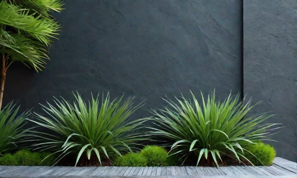 1080x600